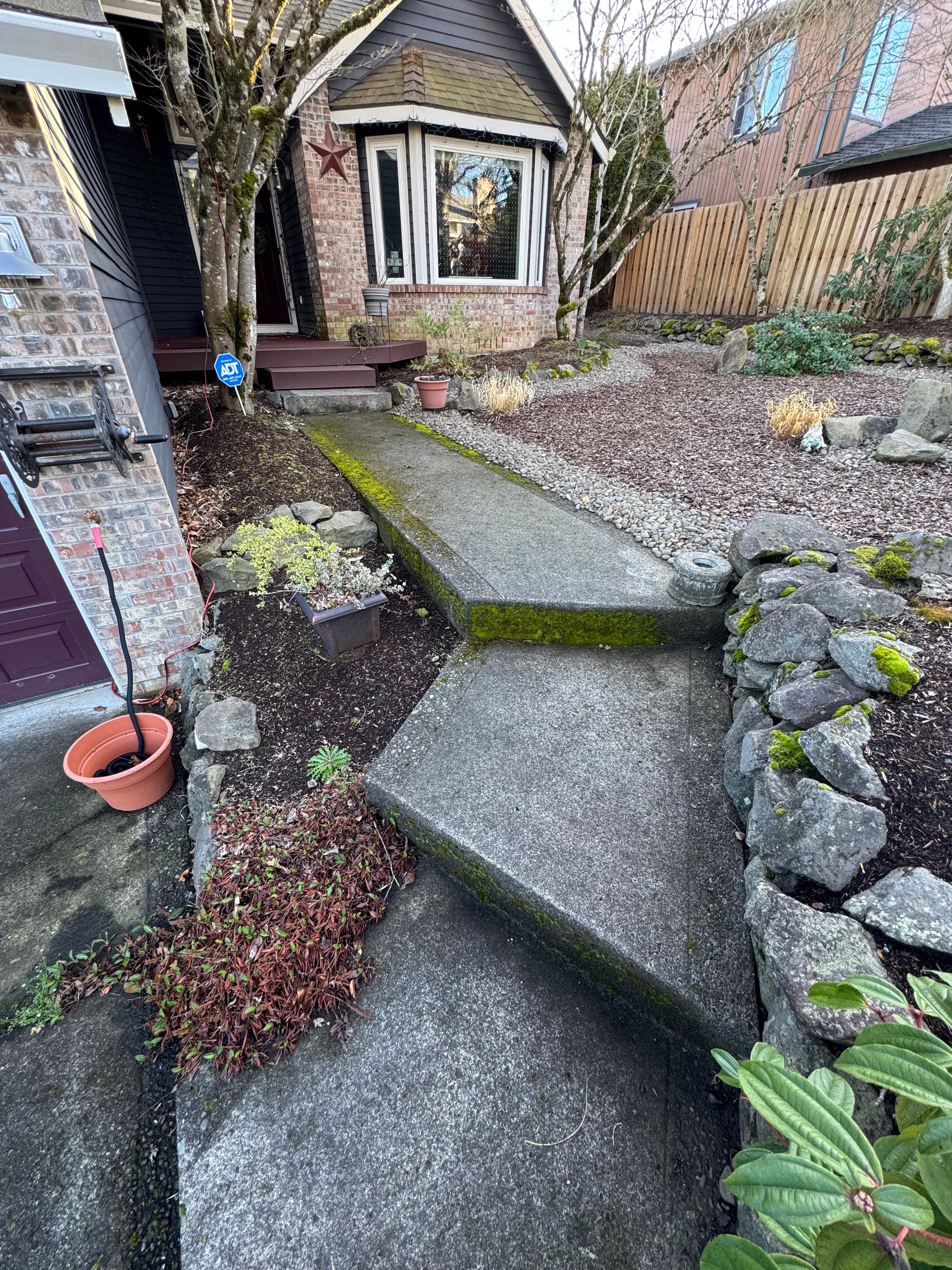 Mossy stairs and walkway before pressure washing.