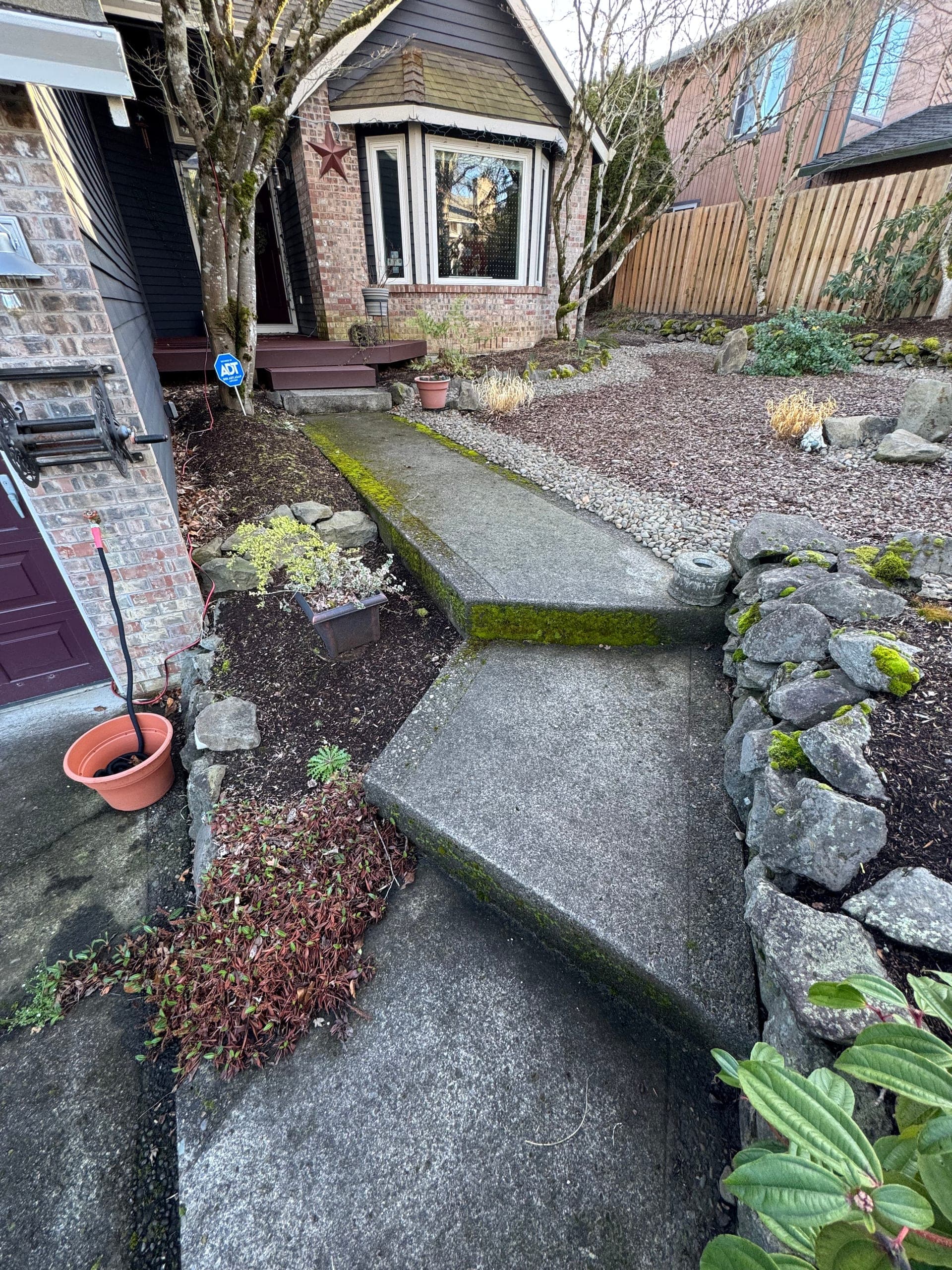 Mossy stairs and walkway before pressure washing.